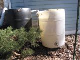 Decorative Rain Barrels Rain Barrels Can Be Piggy Backed to Increase Your Capacity Here