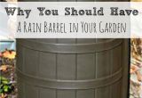 Decorative Rain Barrels Rainwater Harvesting Rainwater Harvesting Barrels and Rain