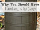 Decorative Rain Barrels Rainwater Harvesting Rainwater Harvesting Barrels and Rain