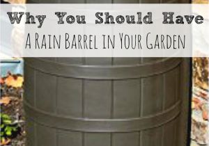 Decorative Rain Collection Barrels Rainwater Harvesting Rainwater Harvesting Barrels and Rain