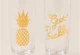 Decorative Shot Glasses Get Prickly Shot Glass Set Pineapple Everything Pinterest