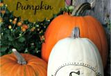 Decorative White Pumpkins for Sale 308 Best Primp Your Pumpkin Images On Pinterest Halloween Ideas