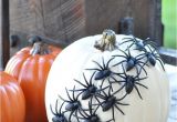 Decorative White Pumpkins for Sale No Carve Halloween Pumpkins Ideas for Decorating Pumpkins Quickly