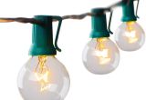 Deneve Lights String Lights 25ft Clear Globe Bulb G40 String Light Set with 25 G40