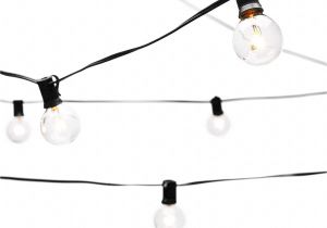 Deneve Lights String Lights 25ft Clear Globe Bulb G40 String Light Set with 25 G40