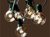 Deneve Lights String Lights 25ft Clear Globe Bulb G40 String Light Set with 25 G40