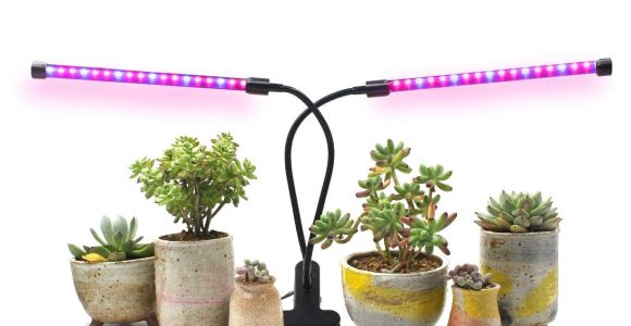Desktop Plant Light 18w Dual Head Timing Grow Lamp 36 Led Chips with Red Blue Spectrum
