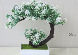 Desktop Plant Light Aliexpress Com Buy for Office Home 19cm Decoration Small ornaments