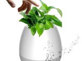 Desktop Plant Light Free Dhl Creative Music Vase Smart Music Flowerpot Wireless