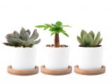 Desktop Plant Light Wituse White Column Flower Pot Ceramic Succulent Plant Pot