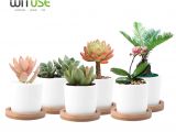 Desktop Plant Light Wituse White Column Flower Pot Ceramic Succulent Plant Pot