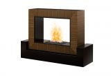 Dimplex Water Vapor Fireplace Fireplace Dimplex Dfi2309 Electric Fireplace Insert Napoleon Vs