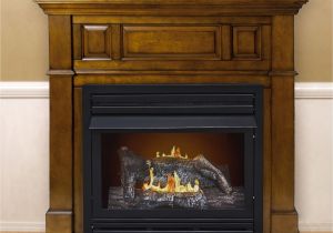 Direct Vent Gas Fireplace with Mantle Dual Fuel Vent Free Wall Mount Gas Fireplace Products Pinterest