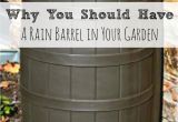 Diy Decorative Rain Barrels Rainwater Harvesting Rainwater Harvesting Barrels and Rain