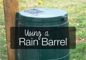 Diy Decorative Rain Barrels Using and Choosing A Rain Barrel Pinterest Sustainability