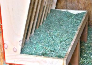 Diy Goat Hay Rack 17 Best Farming Resources Images On Pinterest Farming Farms and Horse