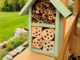 Diy Mason Bee House Plans astounding Mason Bee House Plans Gallery Exterior Ideas 3d Gaml