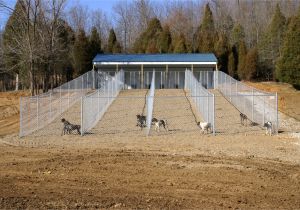 Diy Outdoor Dog Kennel Flooring Heated Dog House Plans Beautiful 76 Best Dog Kennel Designs Images