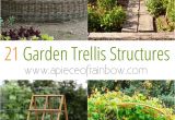 Do It Yourself Garden Art 21 Easy Diy Garden Trellis Ideas Vertical Growing Structures