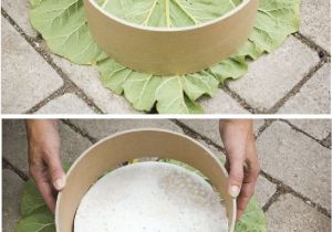 Do It Yourself Garden Art Projects 20 Summertime Projects Pinterest Stone Gardens and Diy