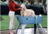 Dog Bathtubs for Sale Australia Paws for thought Booster Bath