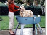 Dog Bathtubs for Sale Australia Paws for thought Booster Bath