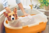 Dog Bathtubs for Sale Iris Dog Bath Tub Medium On Sale