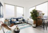 Dog Friendly Living Room Rugs 12 Perfect Studio Apartment Layouts that Work