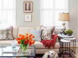 Dog Friendly Living Room Rugs Refresh the oriental Rug Look Decorating Ideas Pinterest