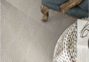 Dog Friendly Rugs Uk 1607 Best Home Carpet Images On Pinterest Bedroom Designs Bedroom