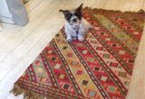 Dog Friendly Rugs Uk About Us