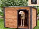Dog House Heat Lamp Ideas Free Double Dog House Plans Beautiful Homemade Dog House Ideas Dog