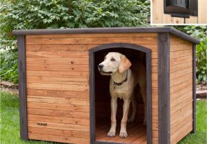 Dog House Heat Lamp Ideas Free Double Dog House Plans Beautiful Homemade Dog House Ideas Dog