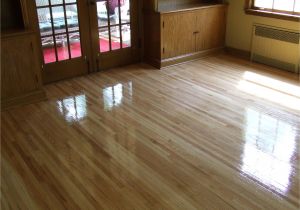 Dog Pee On Hardwood Floors How to Refinish Hardwood Floor Luxury 51 Elegant Dog Urine Stain