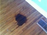 Dog Pee Stain On Wood Floor Beautiful Pet Stains On Wood Floors Gallery Home Floor Plans
