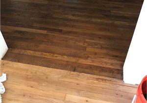 Dog Pee Stain On Wood Floor Black Urine Stains On Hardwood Floors Podemosleganes