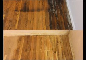 Dog Pee Stain On Wood Floor How to Remove Black Pet Urine Stains From Hardwood Floors Skill