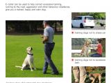 Dog Runners for Backyards Amazon Com Iduola Dog Training Collar with Remote Dog Training