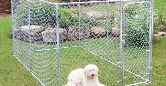 Dog Runners for Backyards Petsafe Box Chain Link Dog Runs Pets Pinterest Dog and Animal