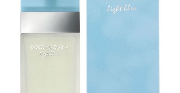 Dolce &amp; Gabbana Light Blue for Her Dolce Gabbana Light Blue Women 100ml Buy Online at Best Prices In