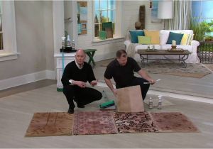 Don aslett Rugs Don aslett S Carpet Stain and Odor Eliminator Concentrate On Qvc