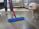Dried Dog Pee On Wood Floor Amazon Com O Cedar Dual Action Microfiber Flip Mop Damp Dry All