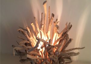 Driftwood Light Fixture Pin by Me On Driftwood Pinterest Driftwood and Craft