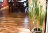 East Windsor Flooring Mercerville 53 Best Wood Flooring Ideas Images On Pinterest Floor Refinishing