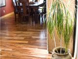 East Windsor Flooring Mercerville 53 Best Wood Flooring Ideas Images On Pinterest Floor Refinishing