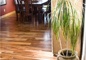 East Windsor Flooring Mercerville 53 Best Wood Flooring Ideas Images On Pinterest Floor Refinishing