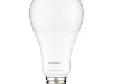 Edison Light Bulbs Home Depot Lampe Led 100w Quirky Maximus Led Bulbs Light Bulbs the Home Depot