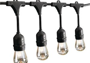 Edison Light Strands 24 Ft 12 Bulb Outdoor String Lights
