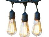Edison Light Strands 48 Ft Ambience Pro Hanging Outdoor String Lights Vintage Edition