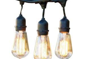 Edison Light Strands 48 Ft Ambience Pro Hanging Outdoor String Lights Vintage Edition
